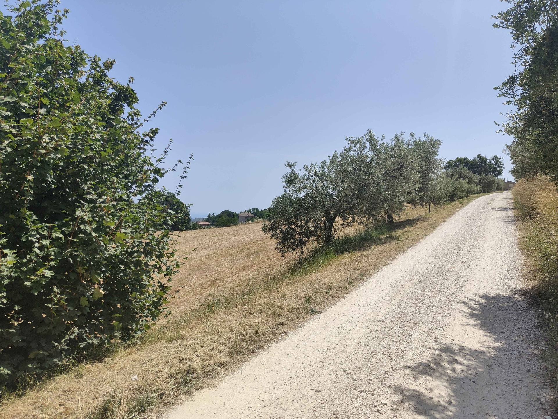 Terreno Agricolo in vendita a Acquaviva Picena, Panoramica