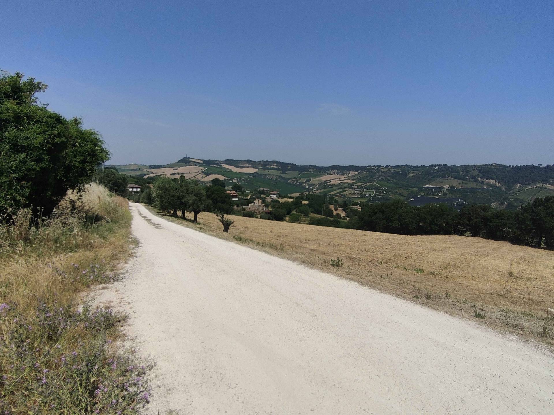 Terreno Agricolo in vendita a Acquaviva Picena, Panoramica