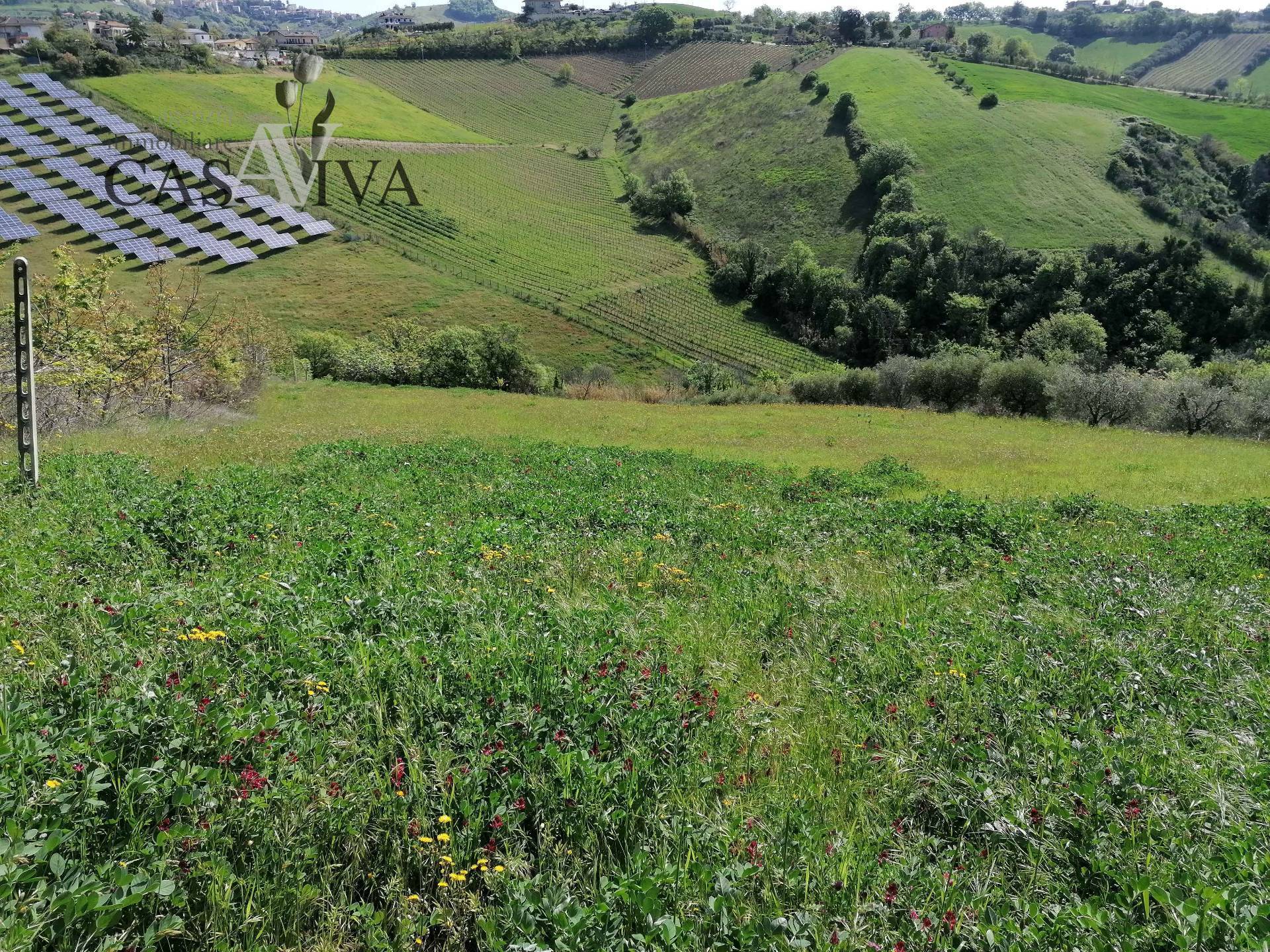 Terreno Agricolo in vendita a Acquaviva Picena, Forola