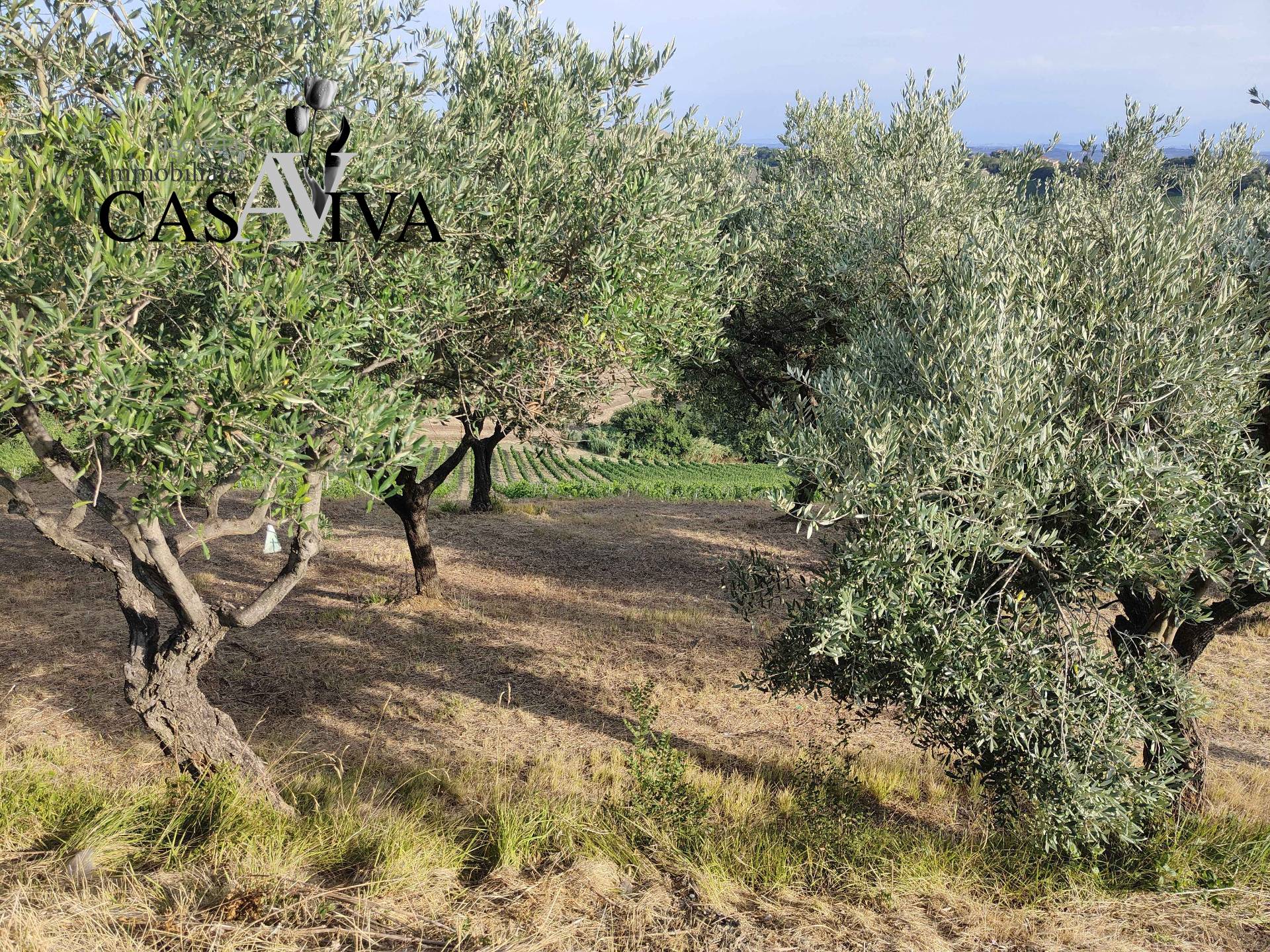 Rustico/Casale in vendita a Ripatransone, San Savino
