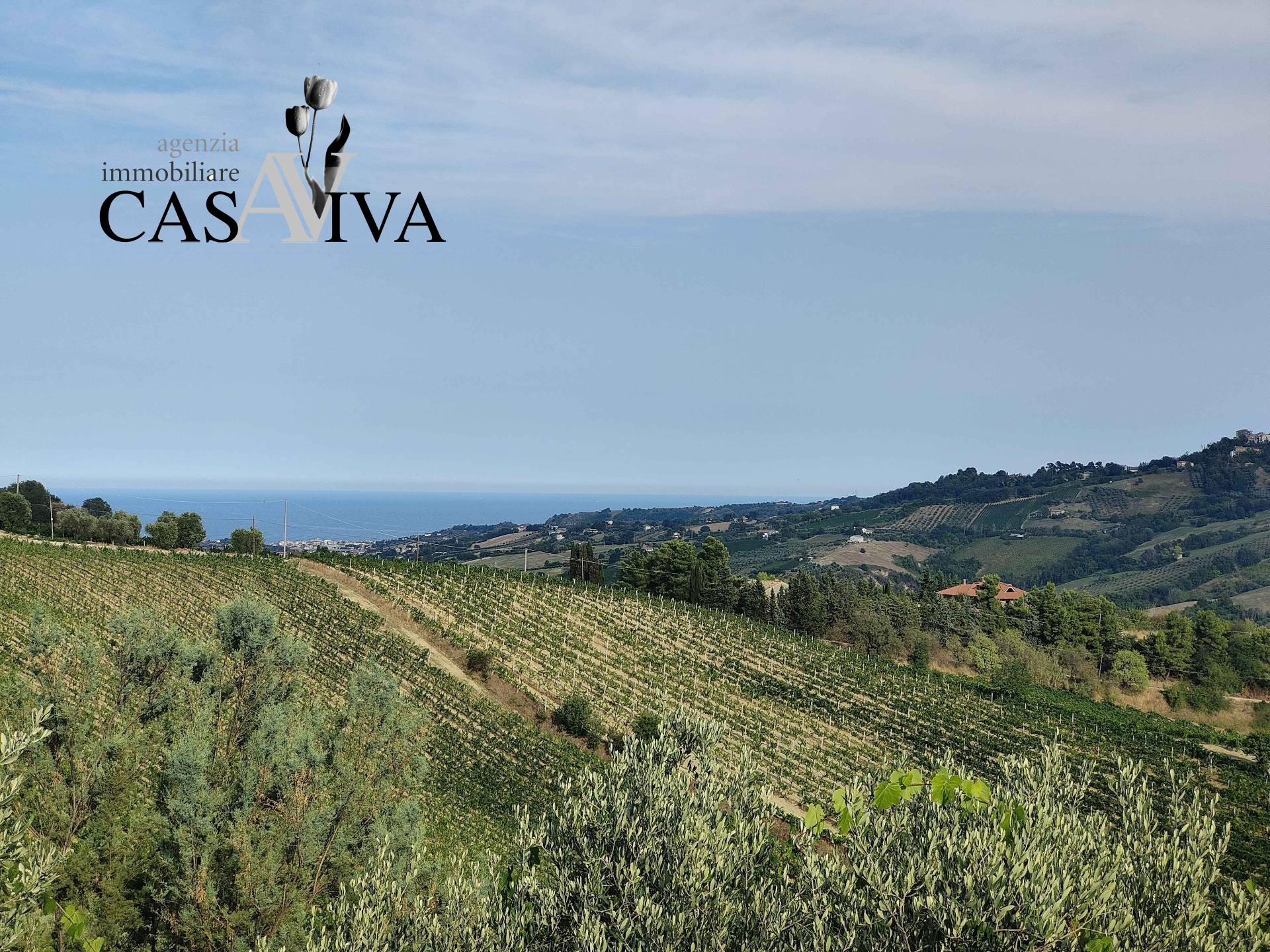 Rustico/Casale in vendita a Ripatransone, San Savino