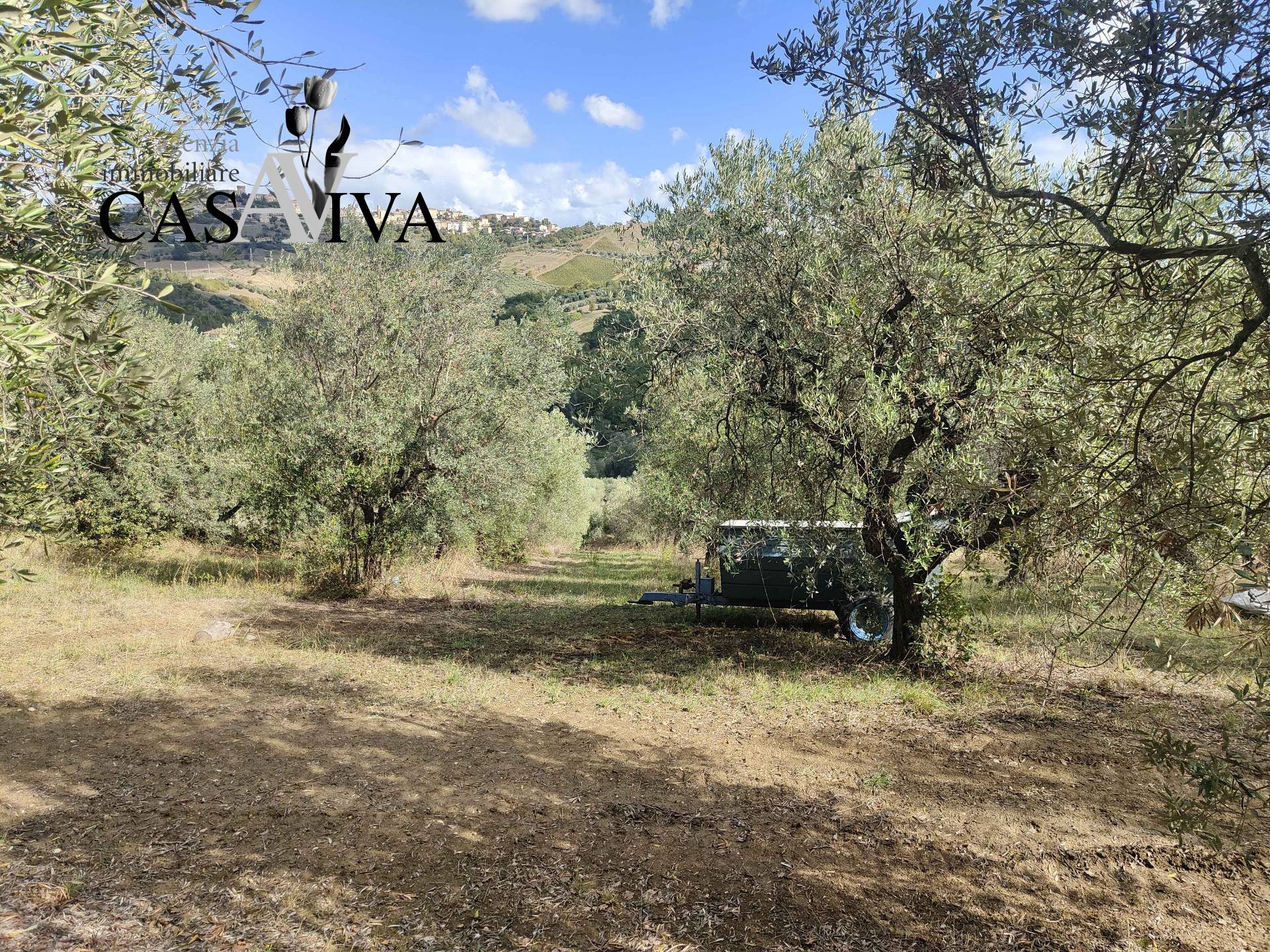 Terreno Agricolo in vendita a Acquaviva Picena