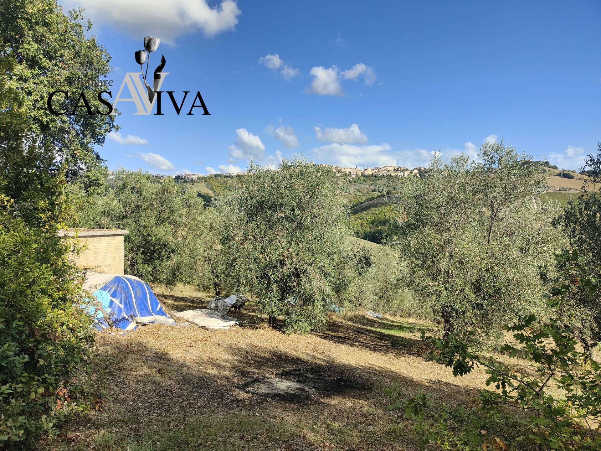 Terreno Agricolo in vendita a Acquaviva Picena