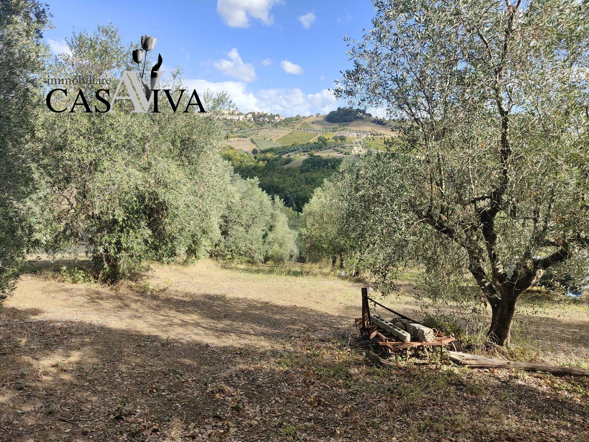 Terreno Agricolo in vendita a Acquaviva Picena
