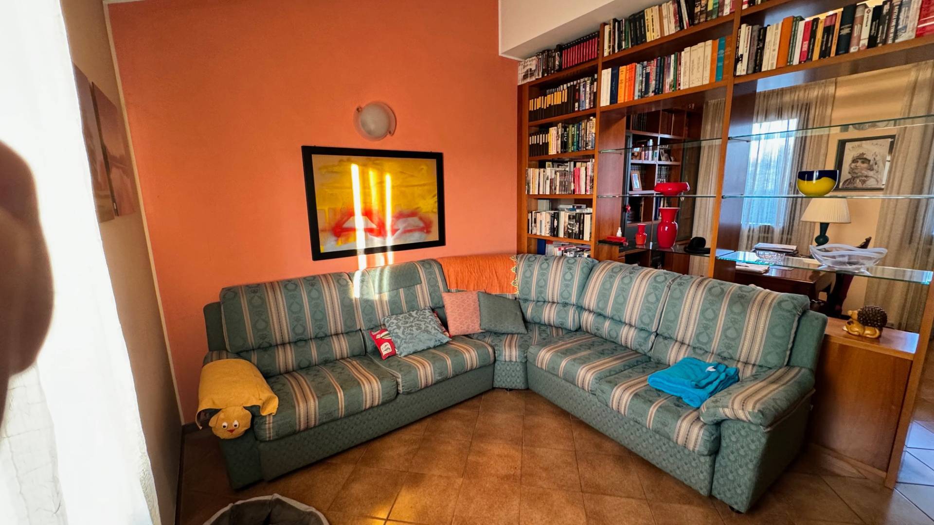 immagine annuncio 7 di 10