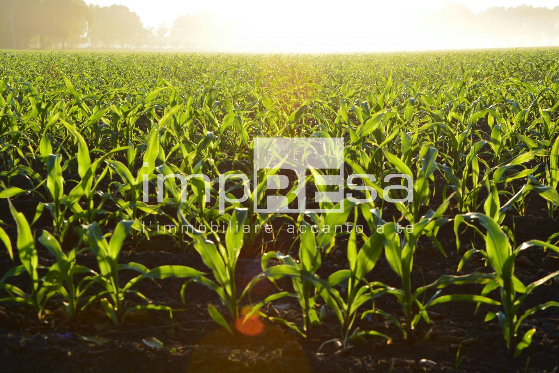 Terreno in vendita a Silea