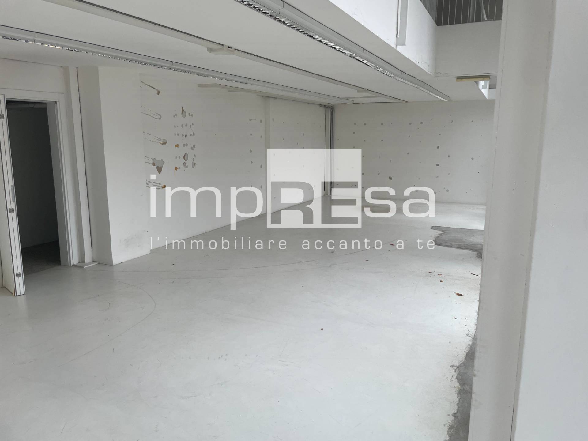 Negozio in affitto a Treviso