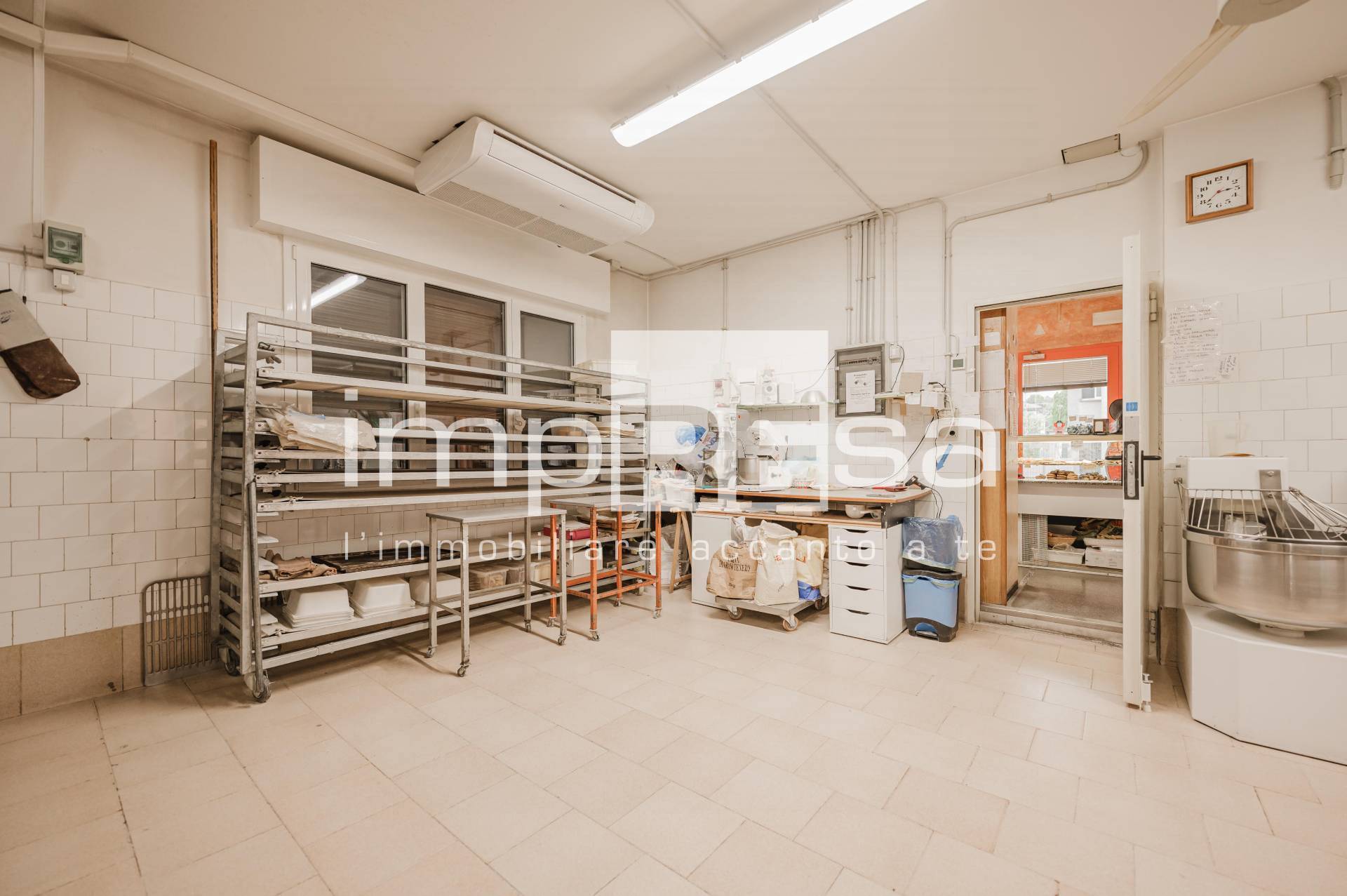 Attivit commerciale in vendita a Vigonovo