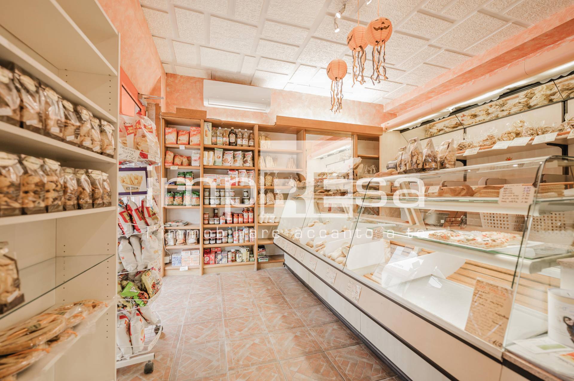 Attivit commerciale in vendita a Vigonovo