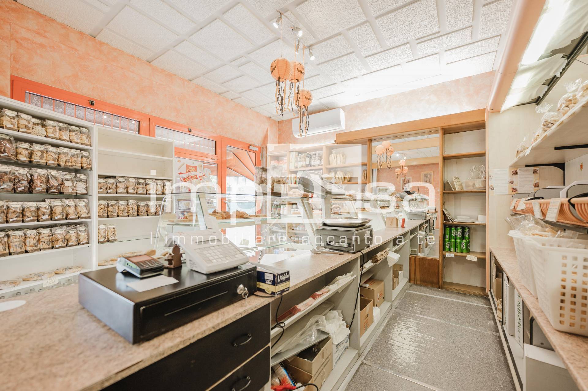 Attivit commerciale in vendita a Vigonovo