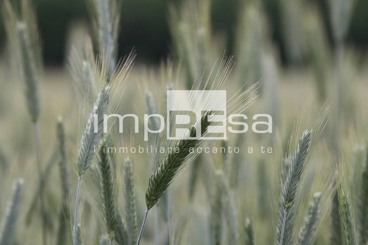 Terreno Agricolo in vendita a Roncade, Biancade