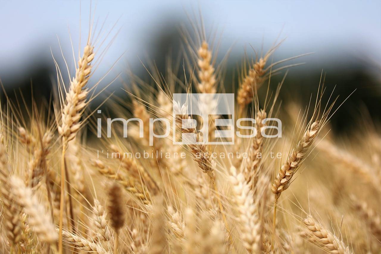 Terreno Agricolo in vendita a Roncade, Biancade