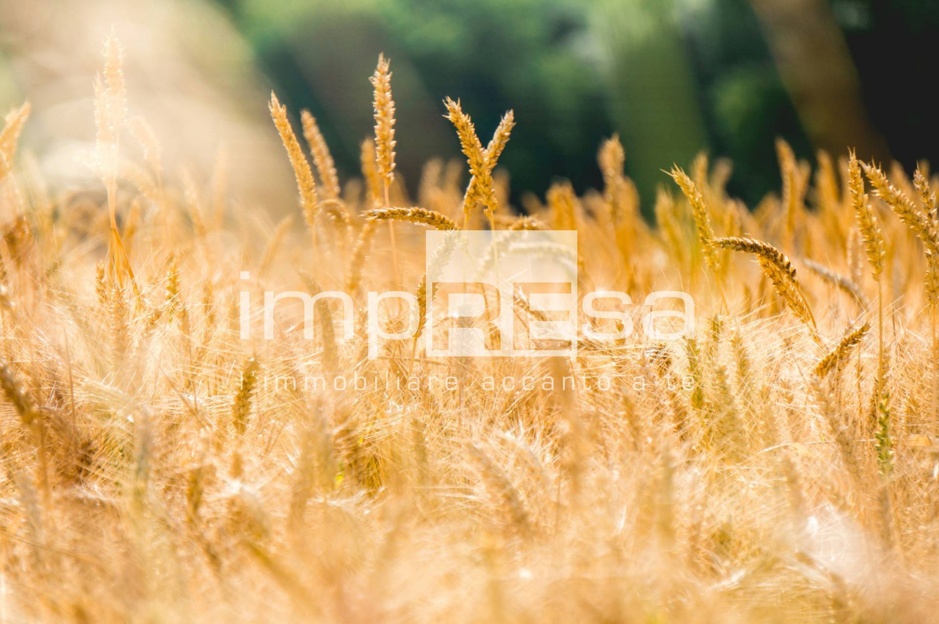 Terreno Agricolo in vendita a Roncade, Biancade