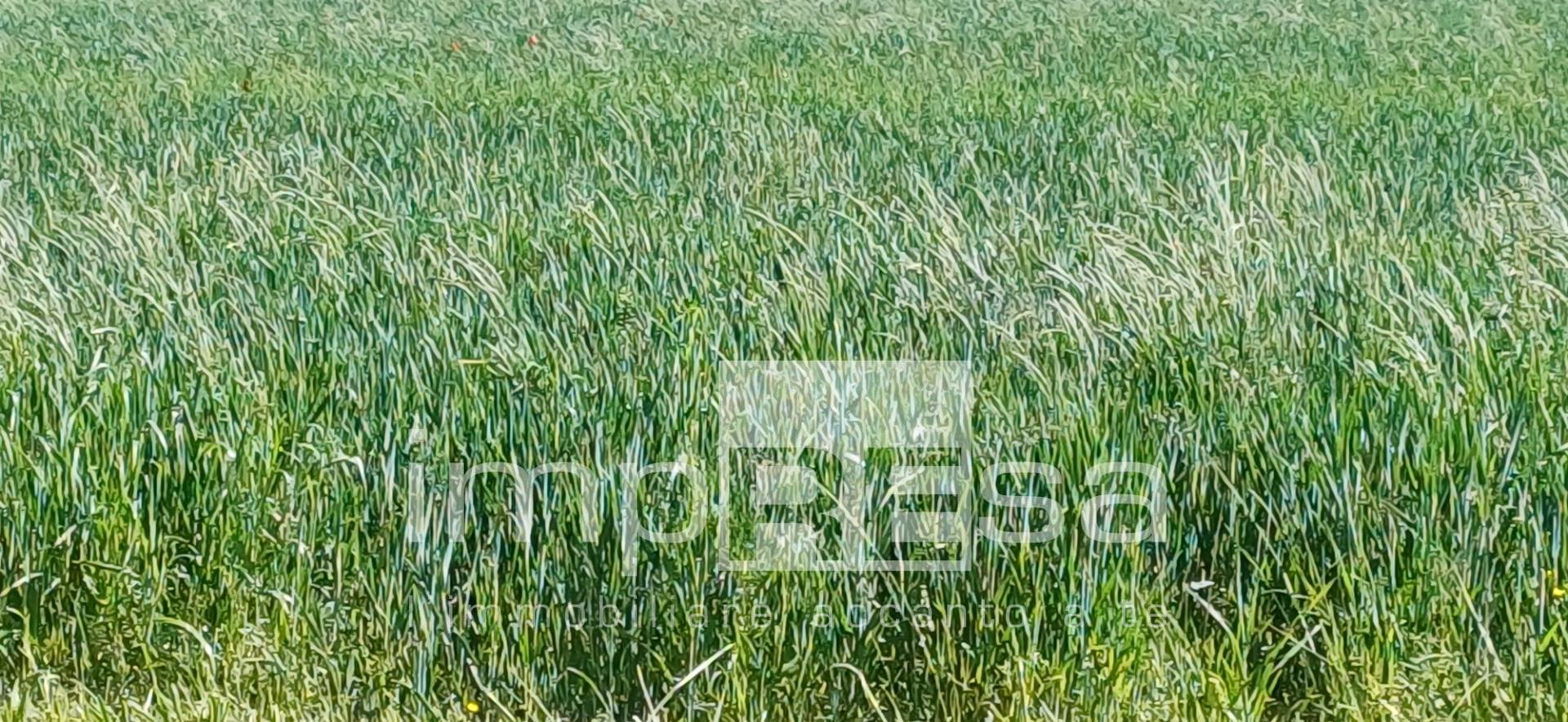 Terreno edificabile residenziale in vendita a Roncade