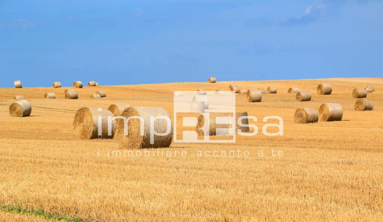 Terreno Agricolo in vendita a Eraclea