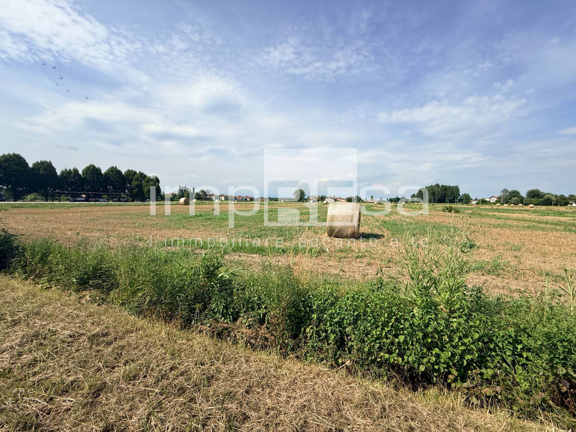 Terreno Agricolo in vendita a San Biagio di Callalta, Centro