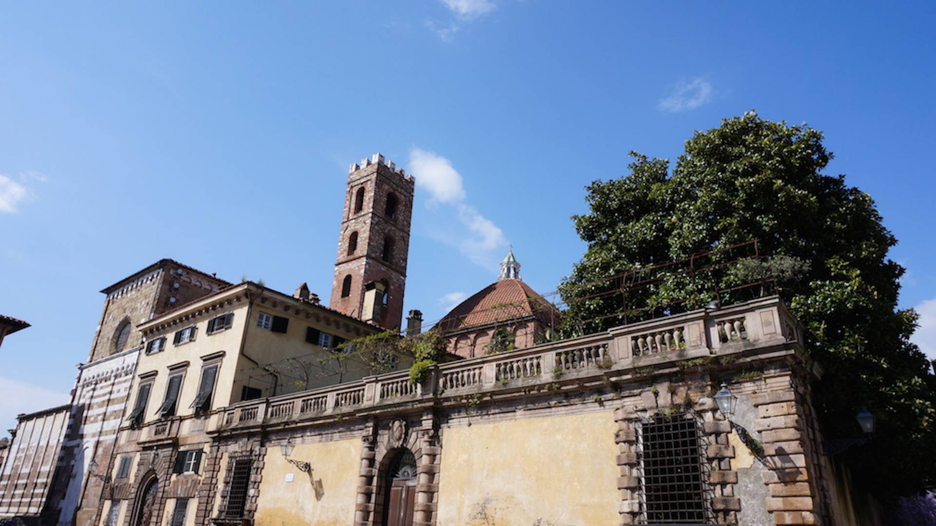 immagine annuncio 4 di 6