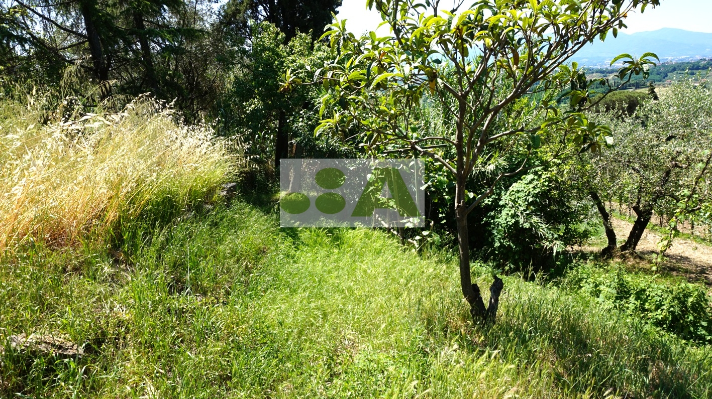 immagine annuncio 5 di 6