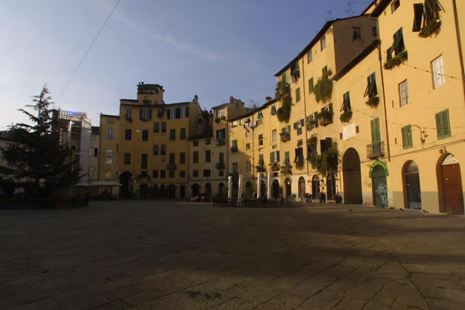 immagine annuncio 5 di 6