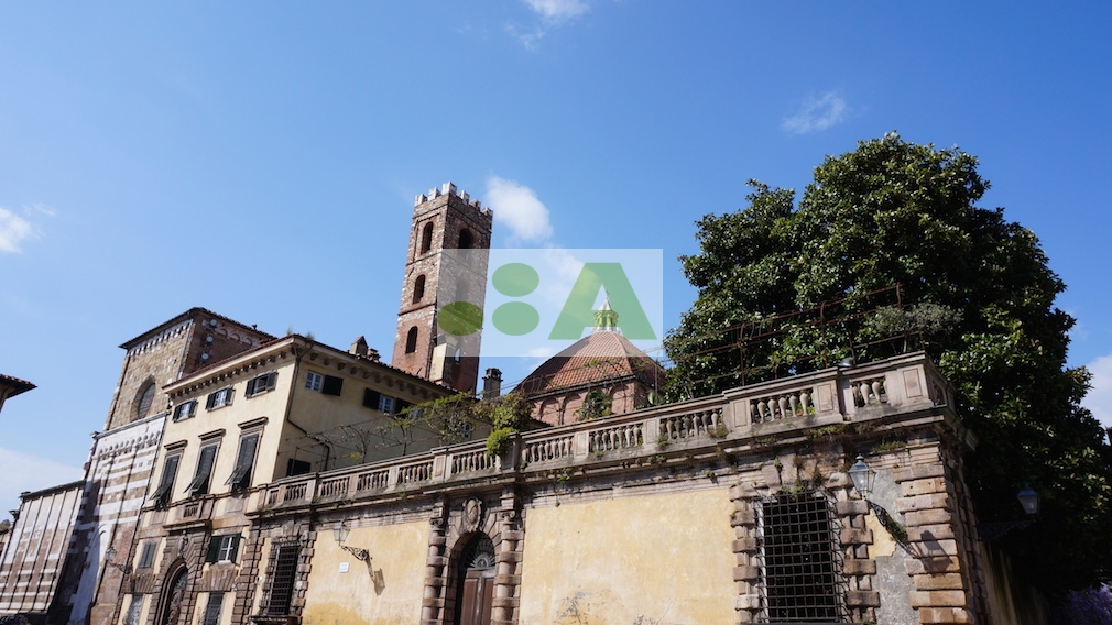 Locale commerciale in vendita a Lucca, San Concordio Contrada