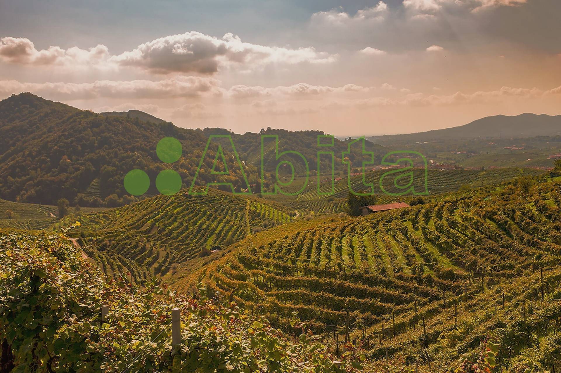 Appartamento in vendita a Capannori, Matraia