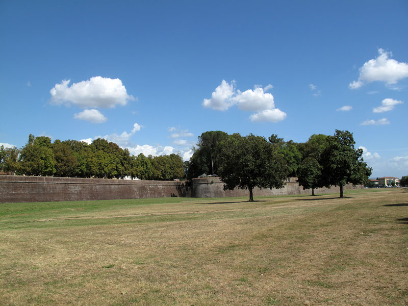 Locale commerciale in vendita a Lucca, San Concordio Contrada