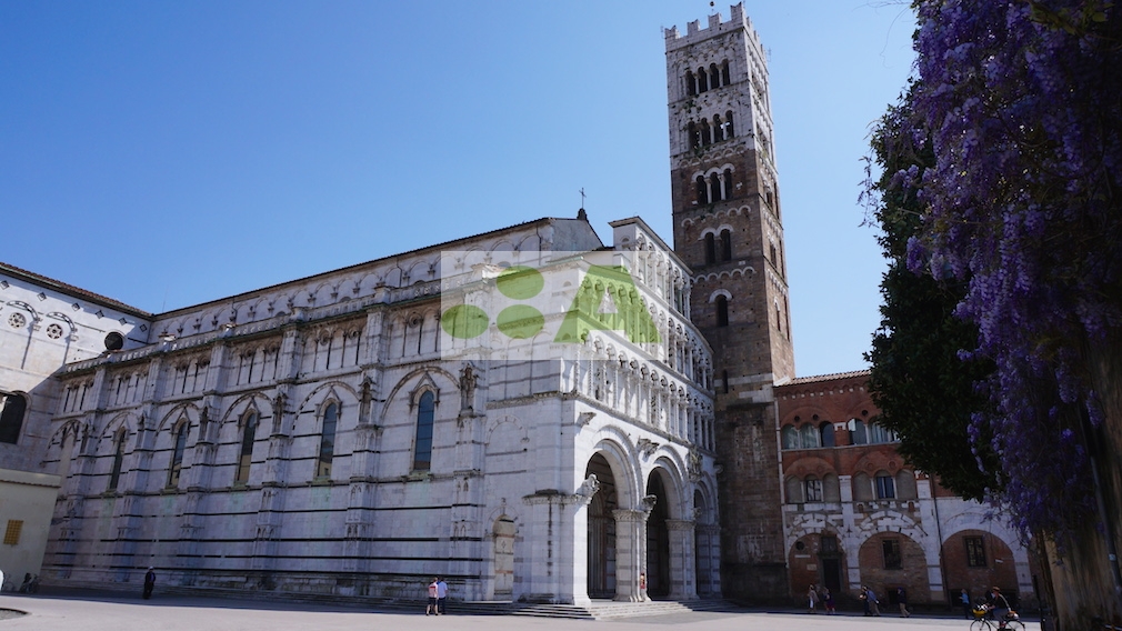 Locale commerciale in vendita a Lucca, San Concordio Contrada