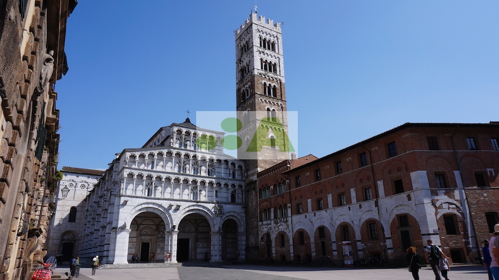 Locale commerciale in vendita a Lucca, San Concordio Contrada