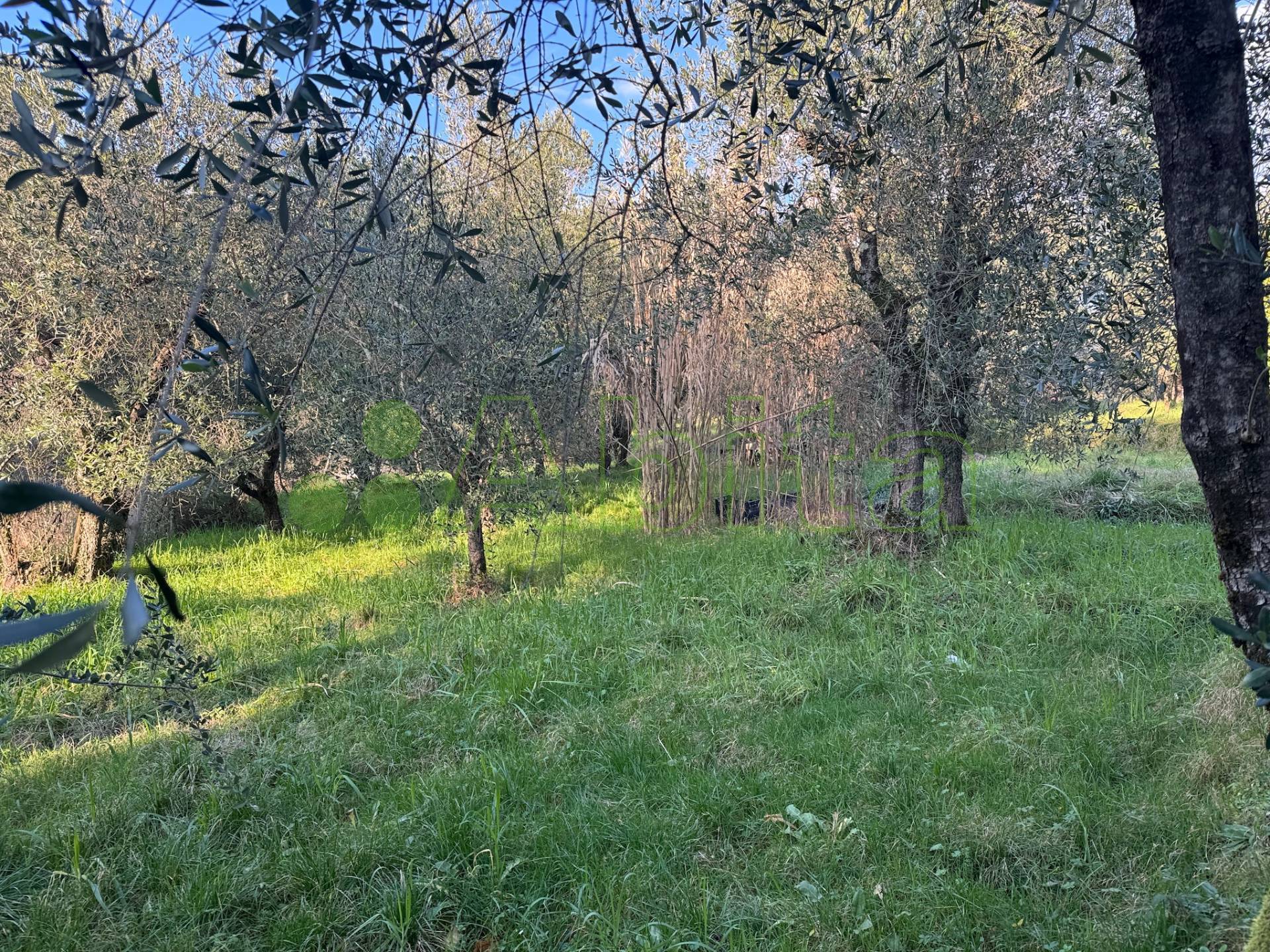 Appartamento in vendita a Borgo a Mozzano, ONETA