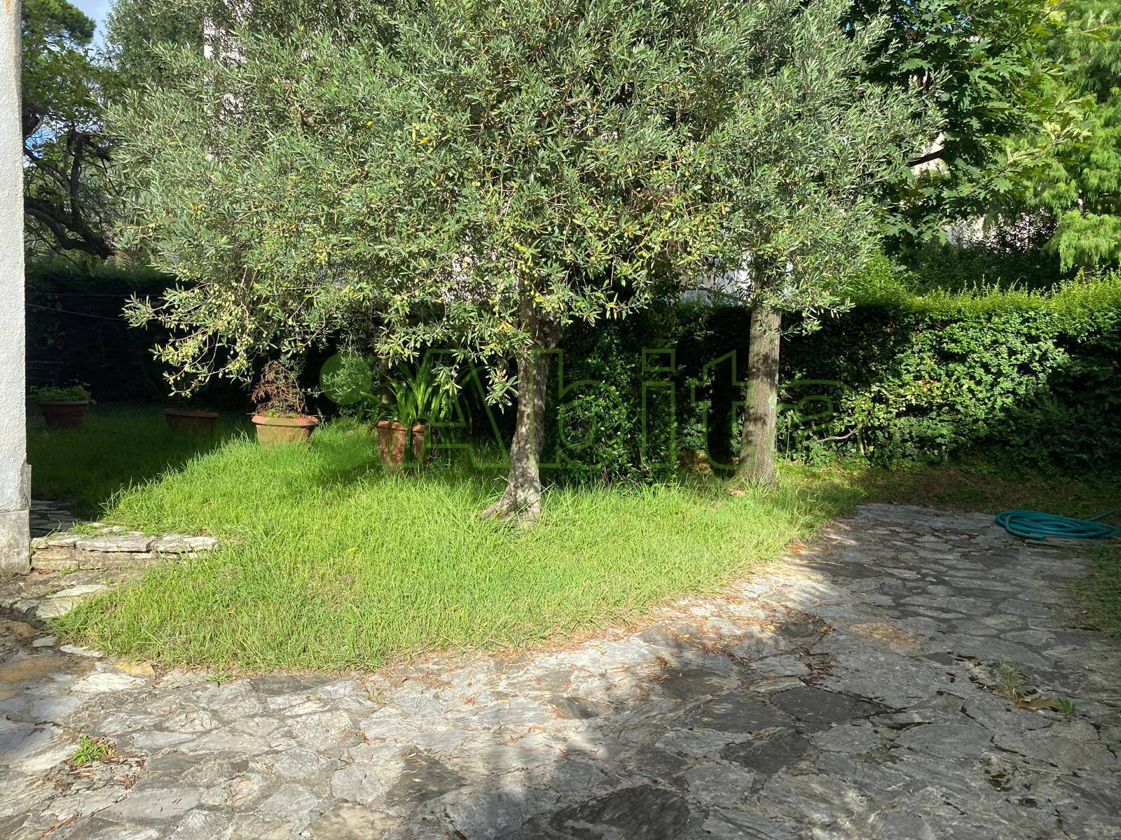 Villa in vendita a Lucca, San Concordio Contrada