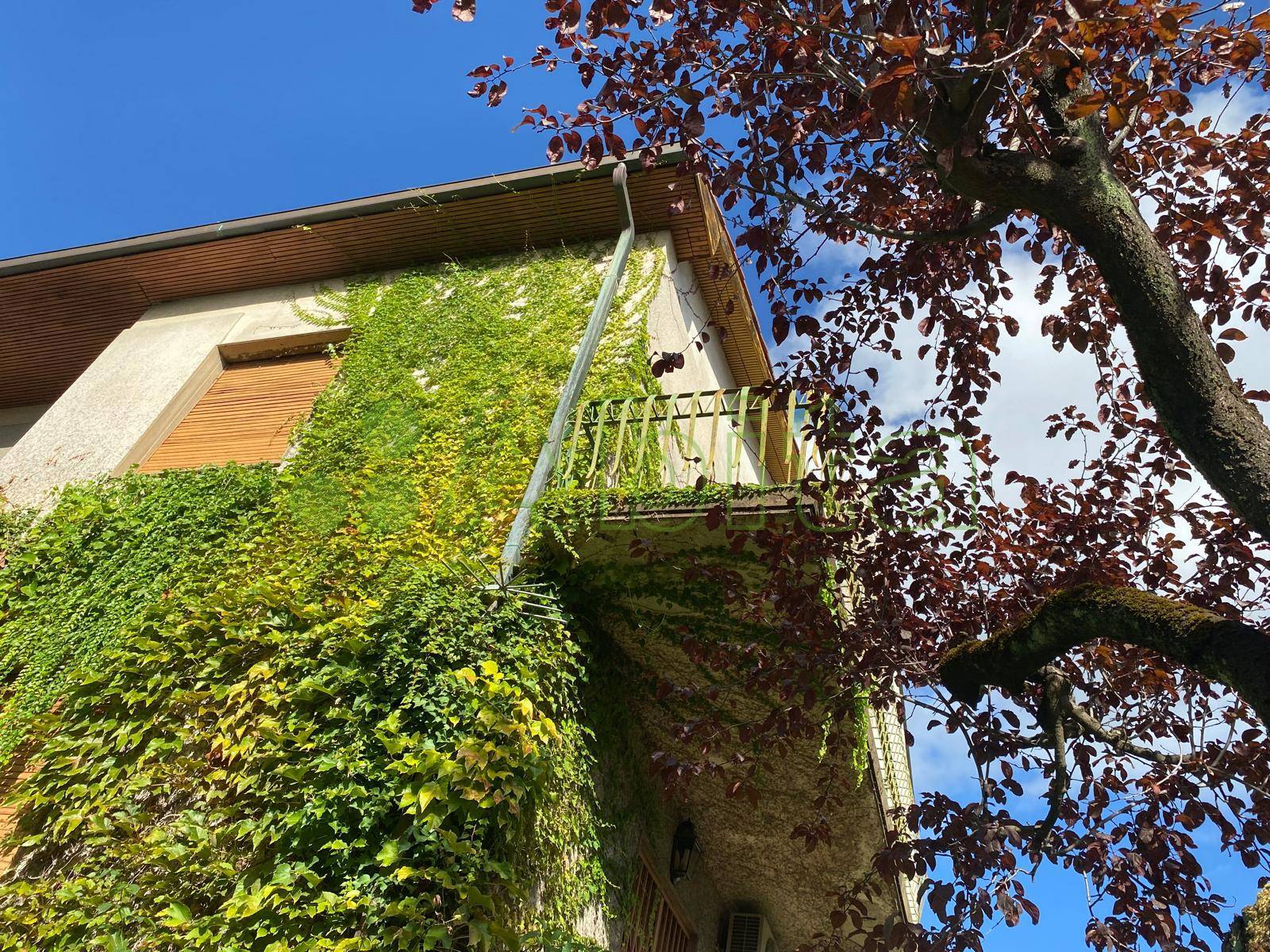 Villa in vendita a Lucca, San Concordio Contrada