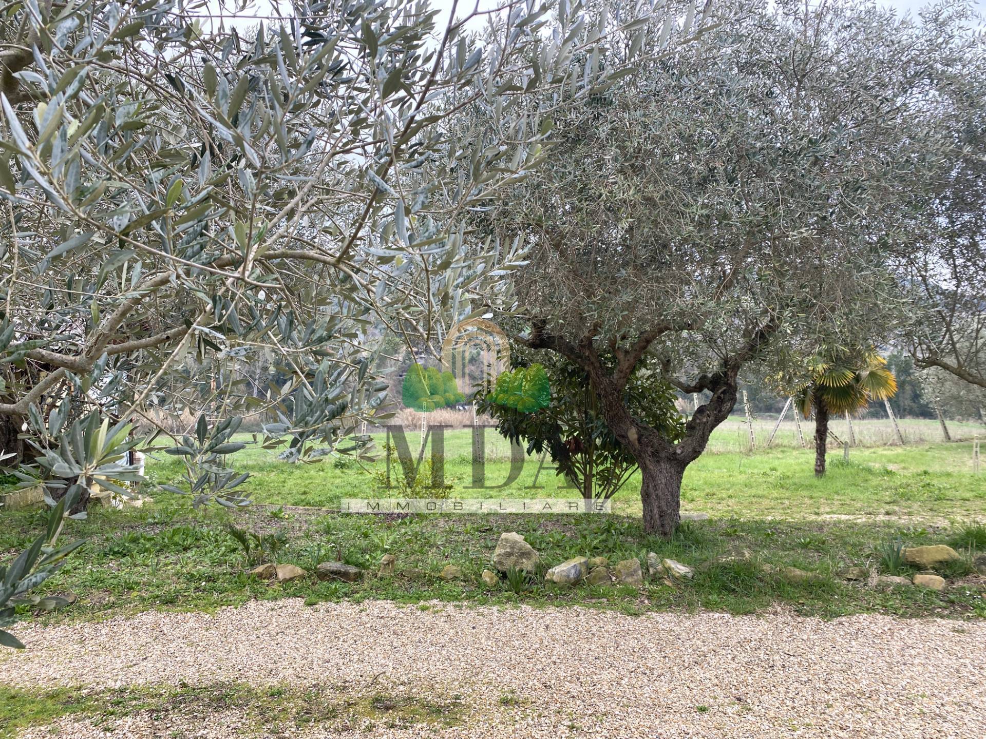 Terreno Agricolo in vendita a Spinetoli, Spinetoli