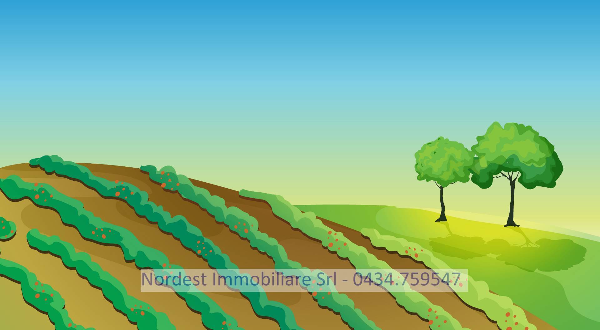 Terreno Agricolo in vendita a Gaiarine