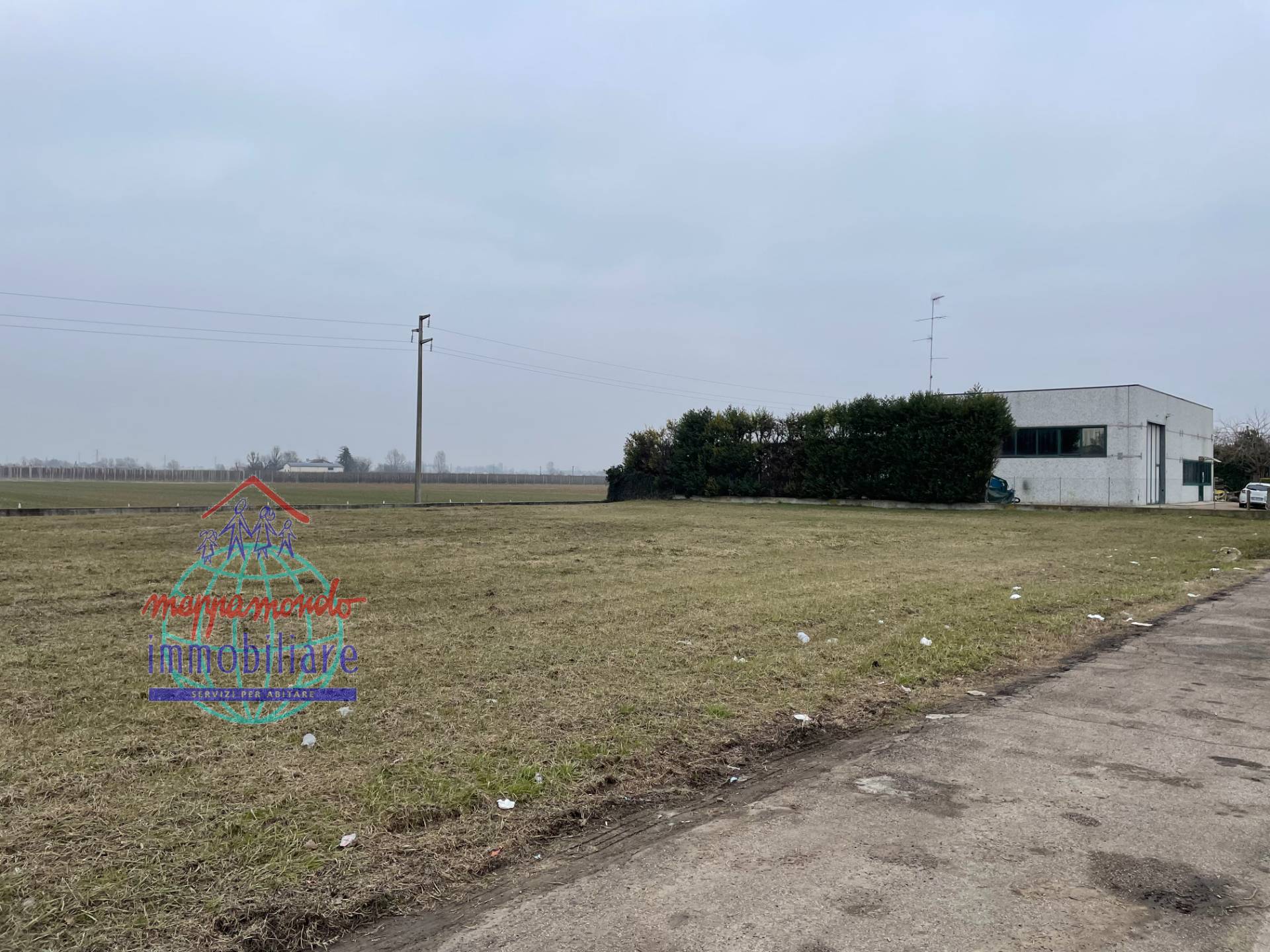 immagine annuncio 1 di 5