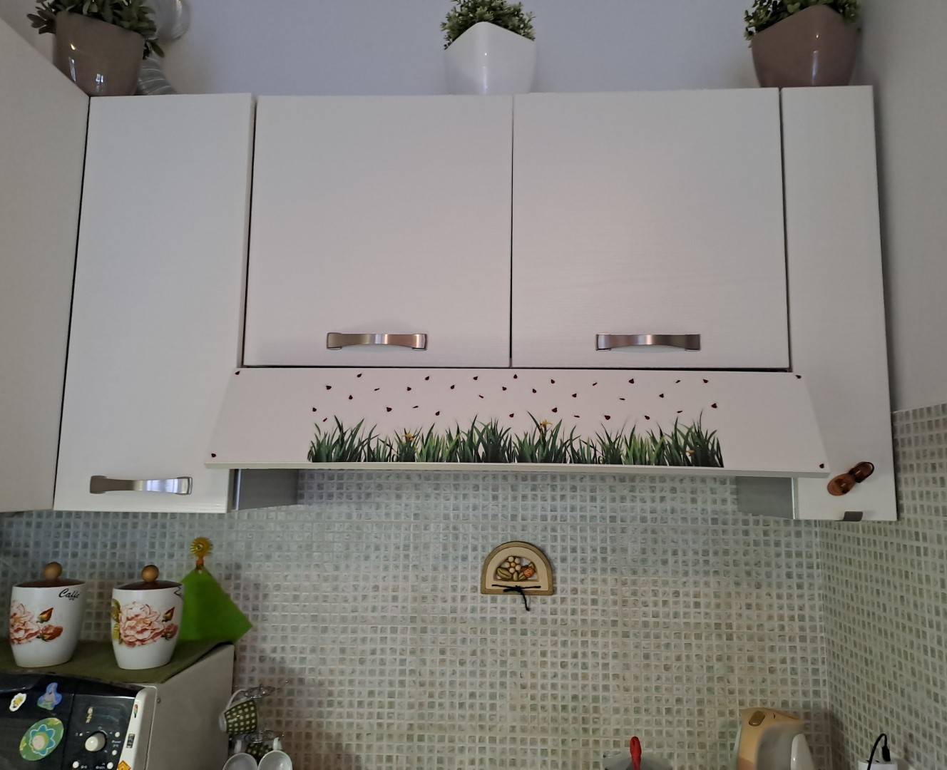 immagine annuncio 2 di 6