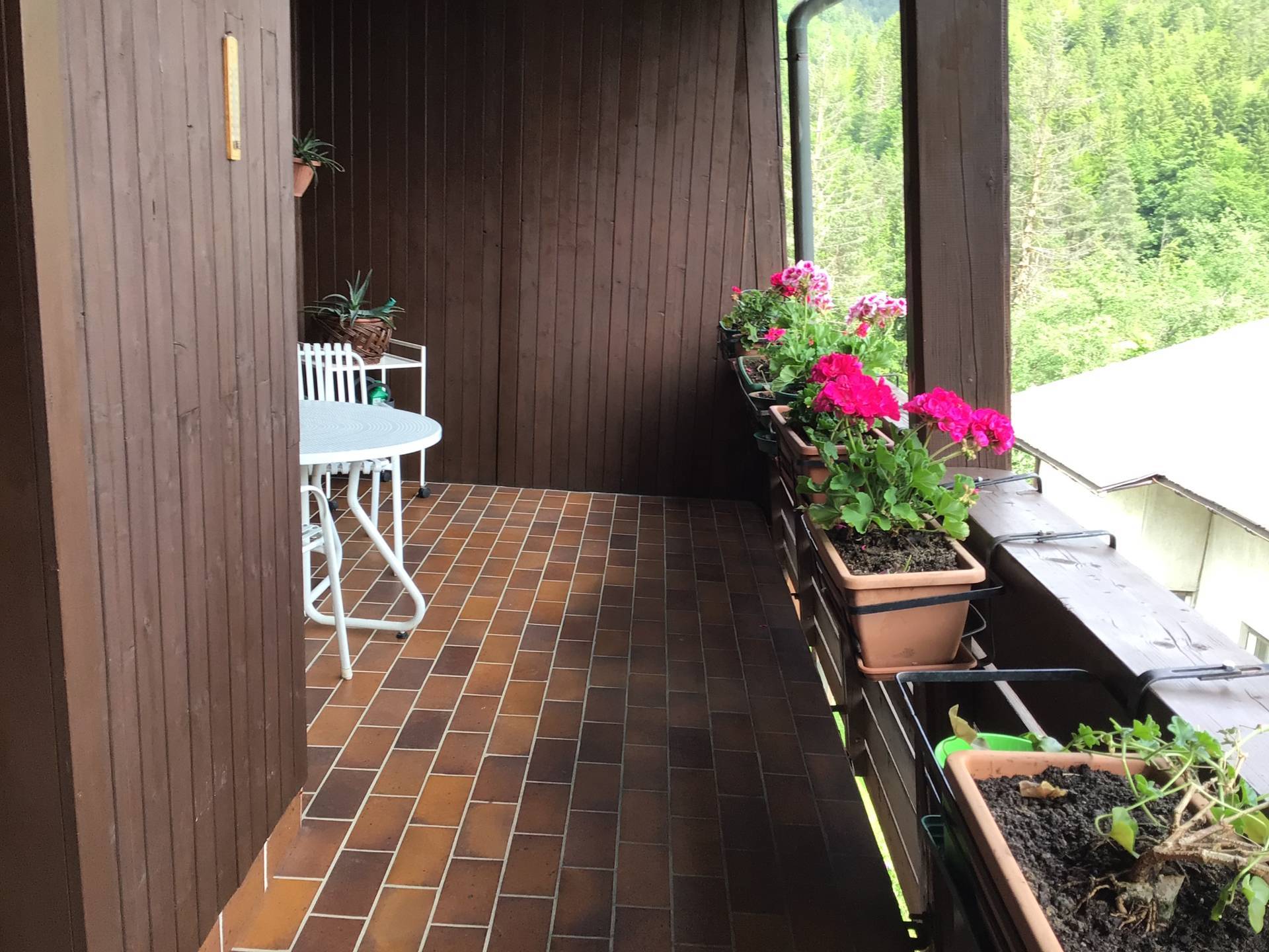 Appartamento in vendita a Tarvisio