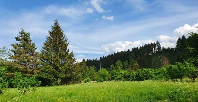 Terreno edificabile in vendita a Tarvisio