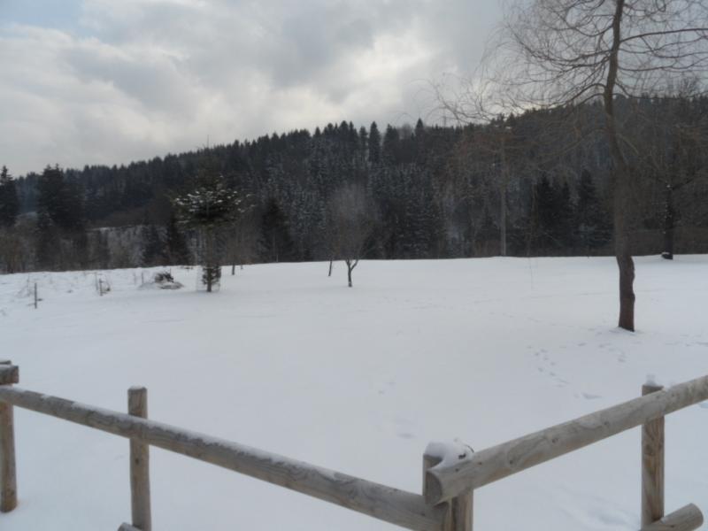 Terreno edificabile in vendita a Tarvisio