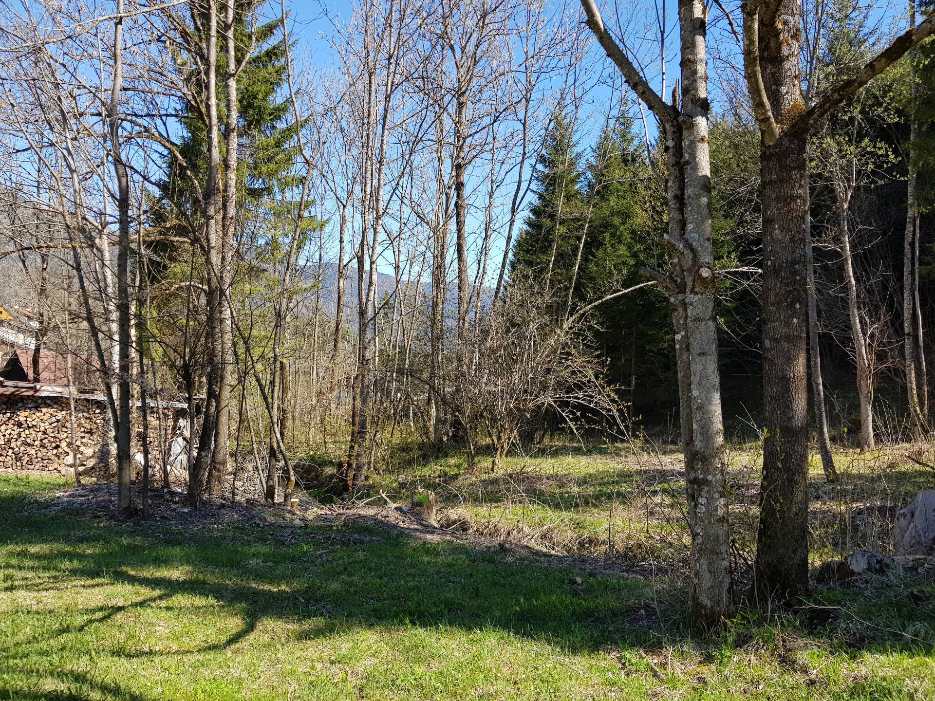 Terreno edificabile in vendita a Tarvisio, Rutte Grande