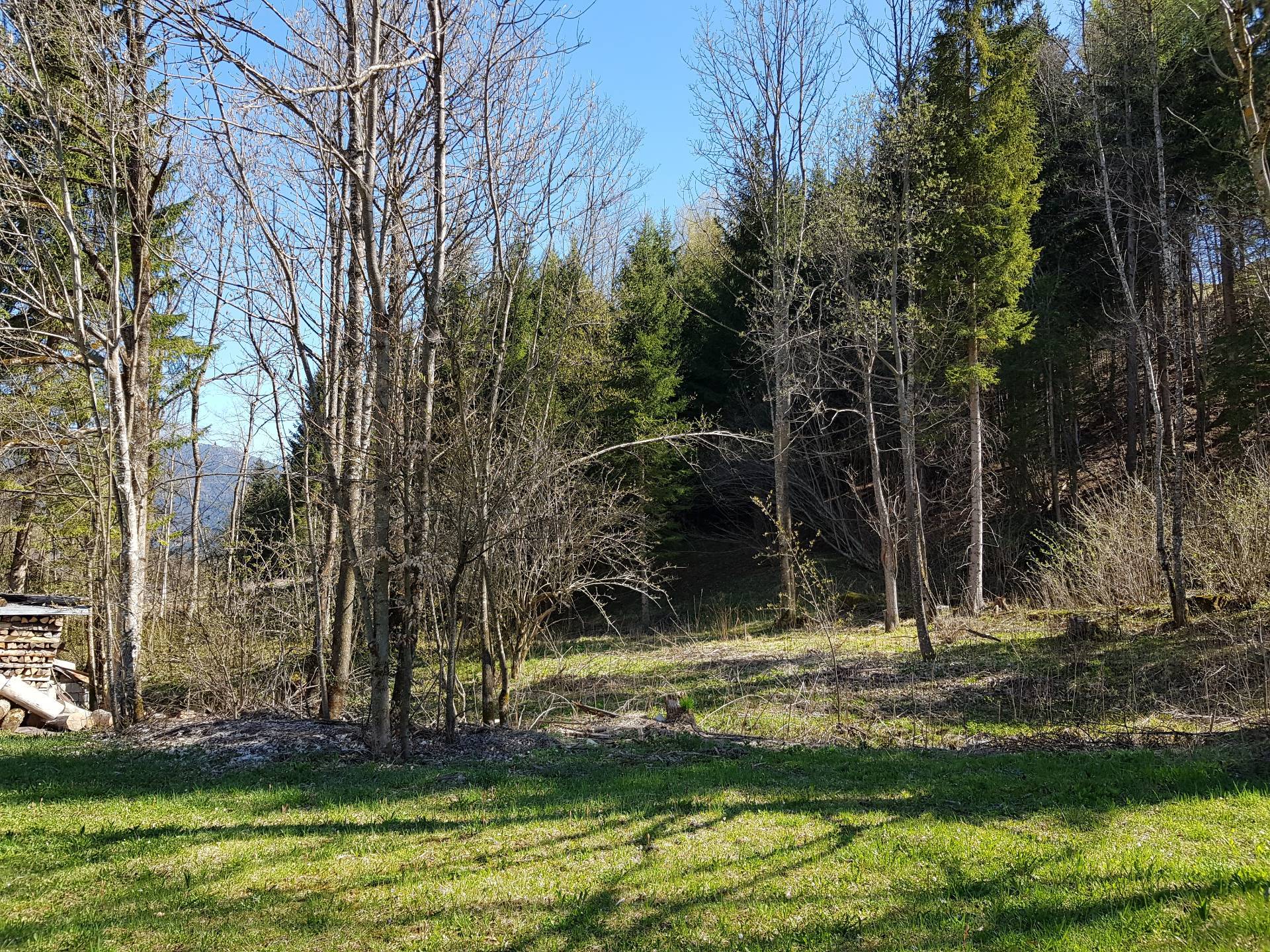 Terreno edificabile in vendita a Tarvisio, Rutte Grande