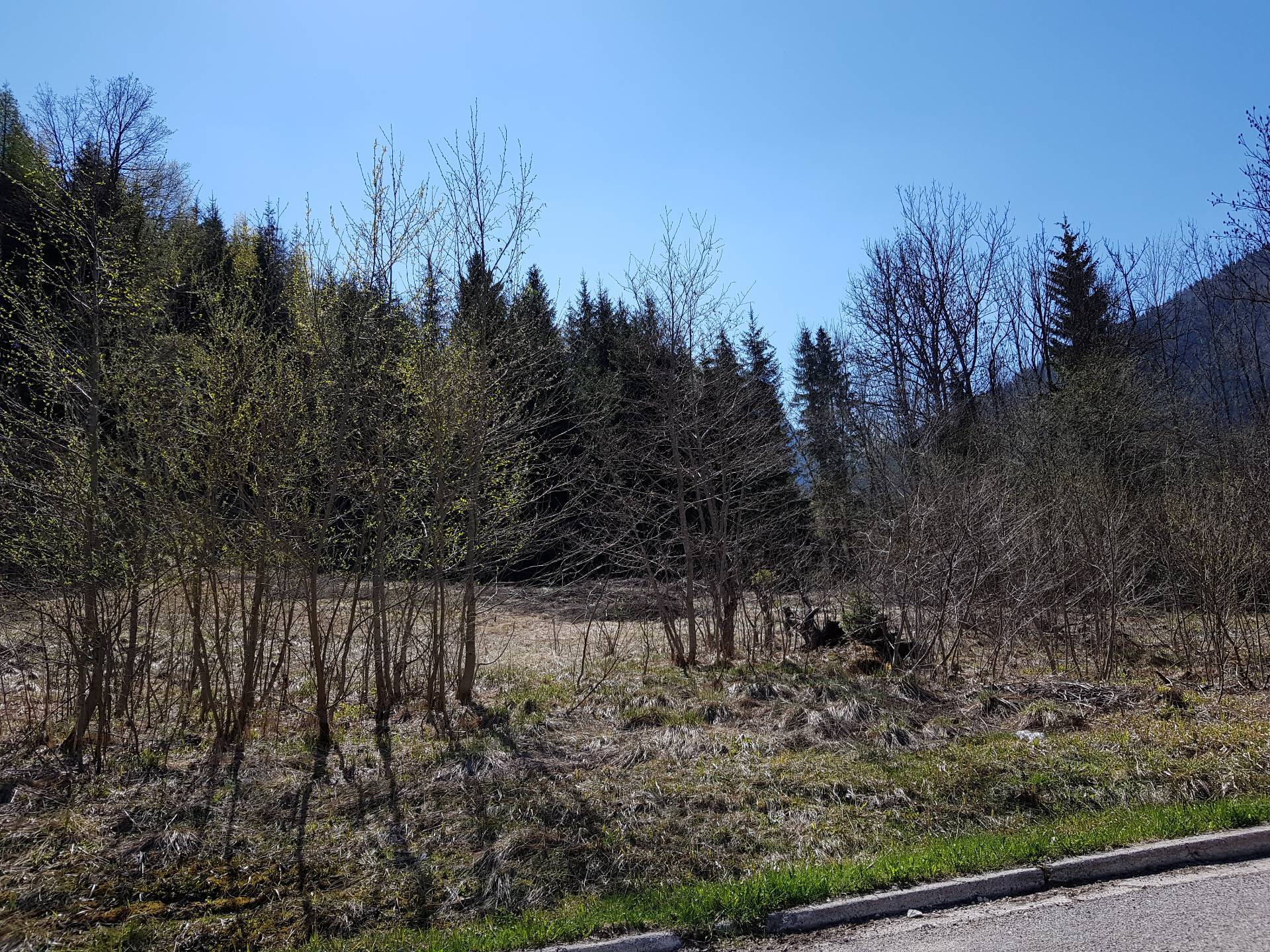 Terreno edificabile in vendita a Tarvisio, Rutte Grande