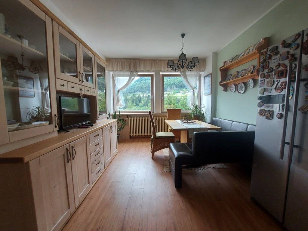 Appartamento in vendita a Tarvisio