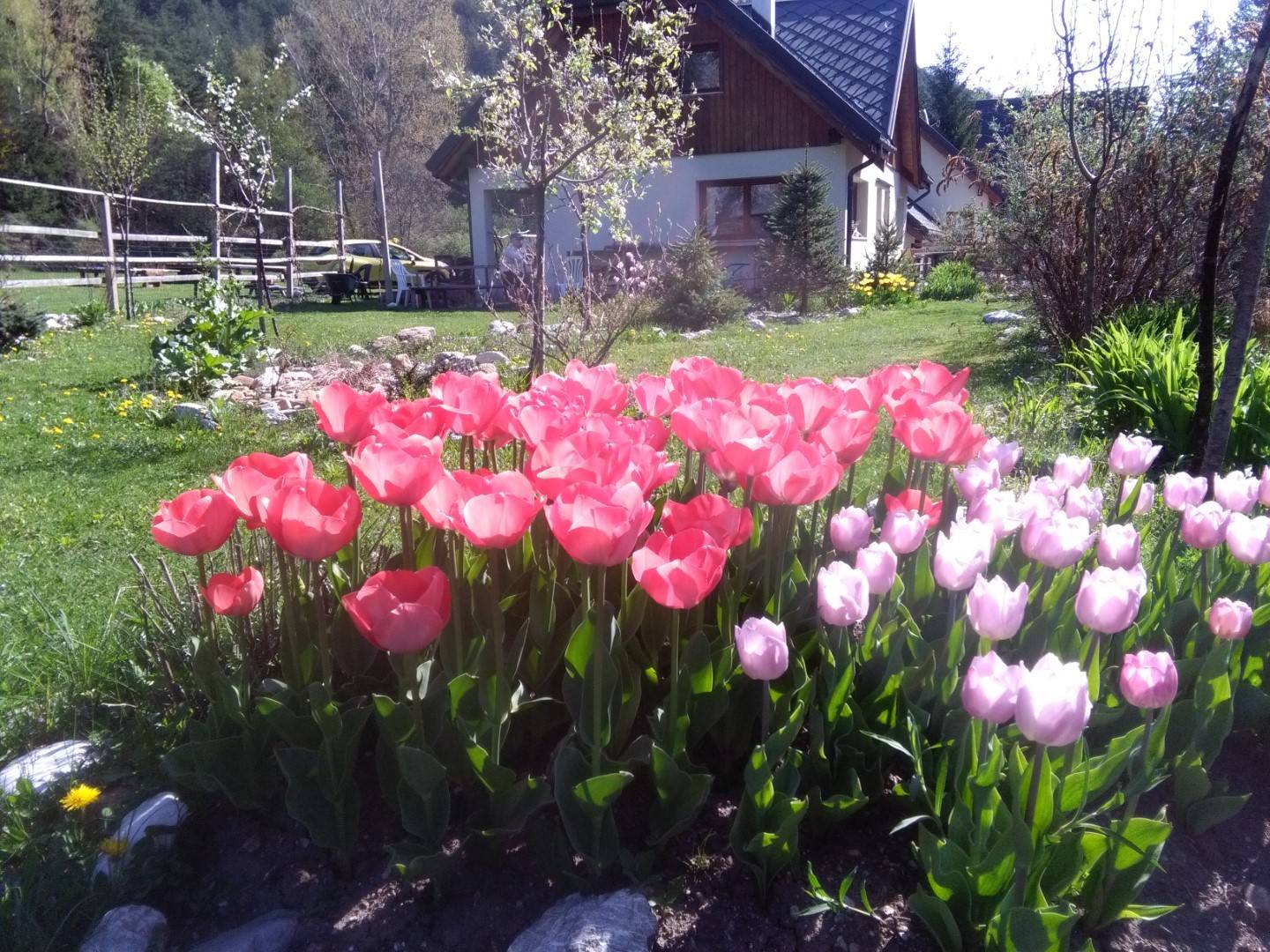 Villa in vendita a Malborghetto Valbruna