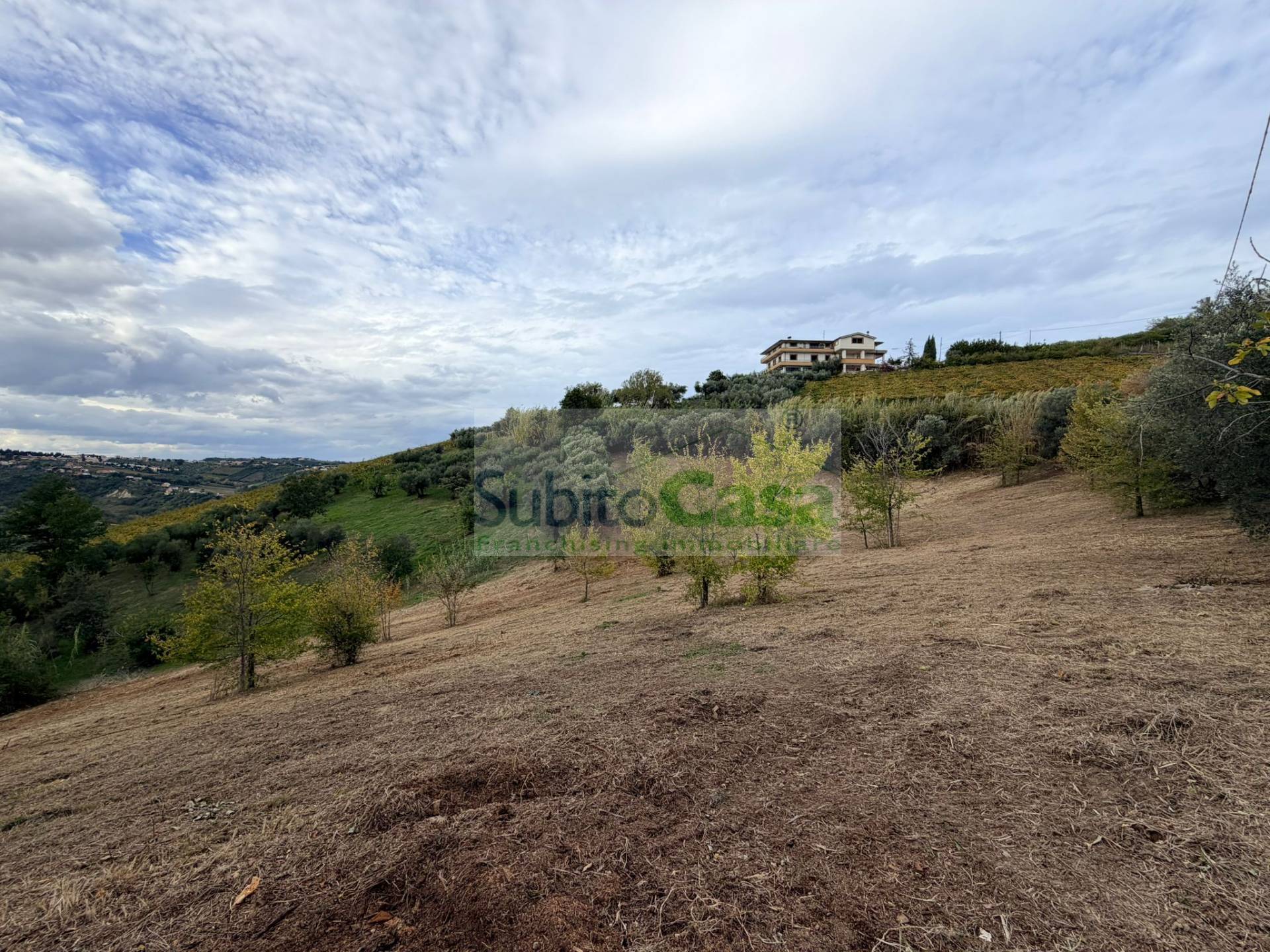 Terreno Agricolo in vendita a Bucchianico, semi centro