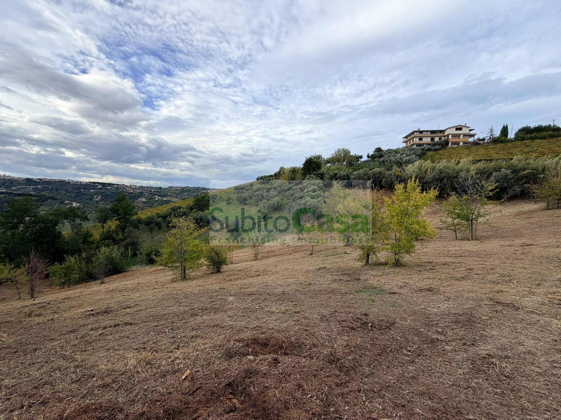 Terreno Agricolo in vendita a Bucchianico, semi centro