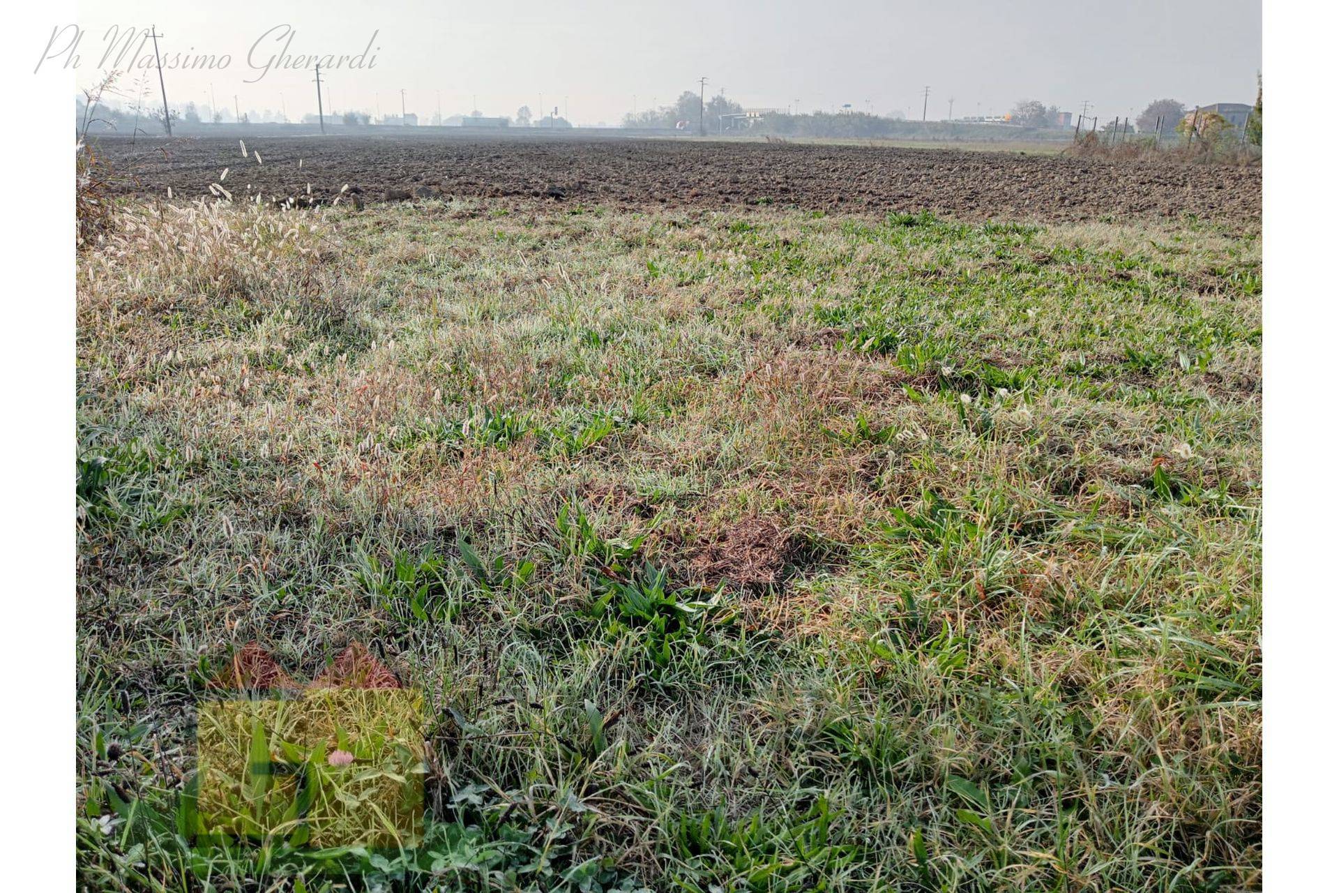 Terreno Agricolo in vendita a Ferrara, Chiesuol del Fosso