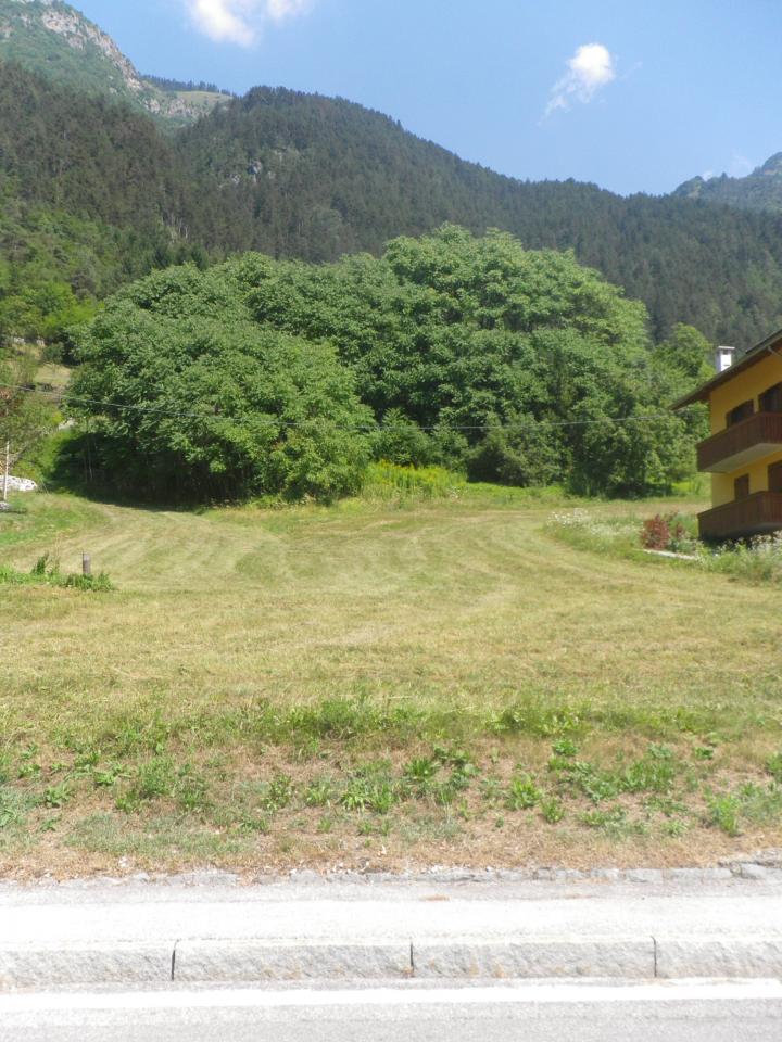 Terreno Edificabile Residenziale in vendita a Ragoli