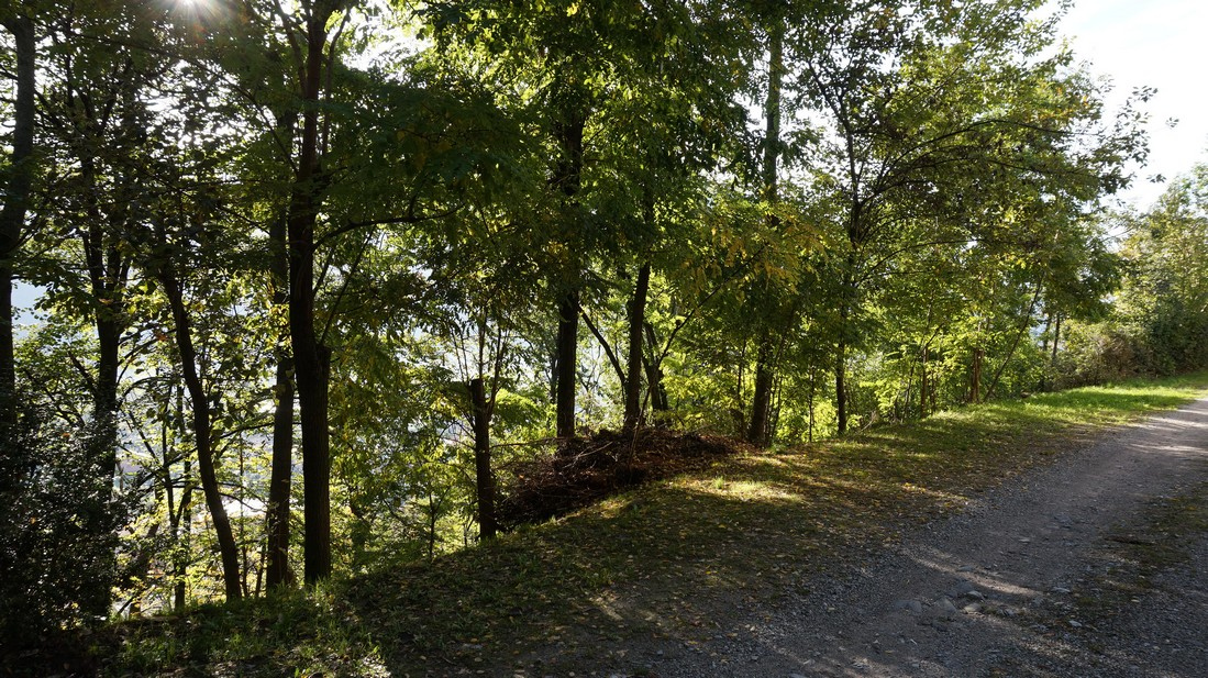 Casa Indipendente in vendita a Bagolino, Ponte Caffaro