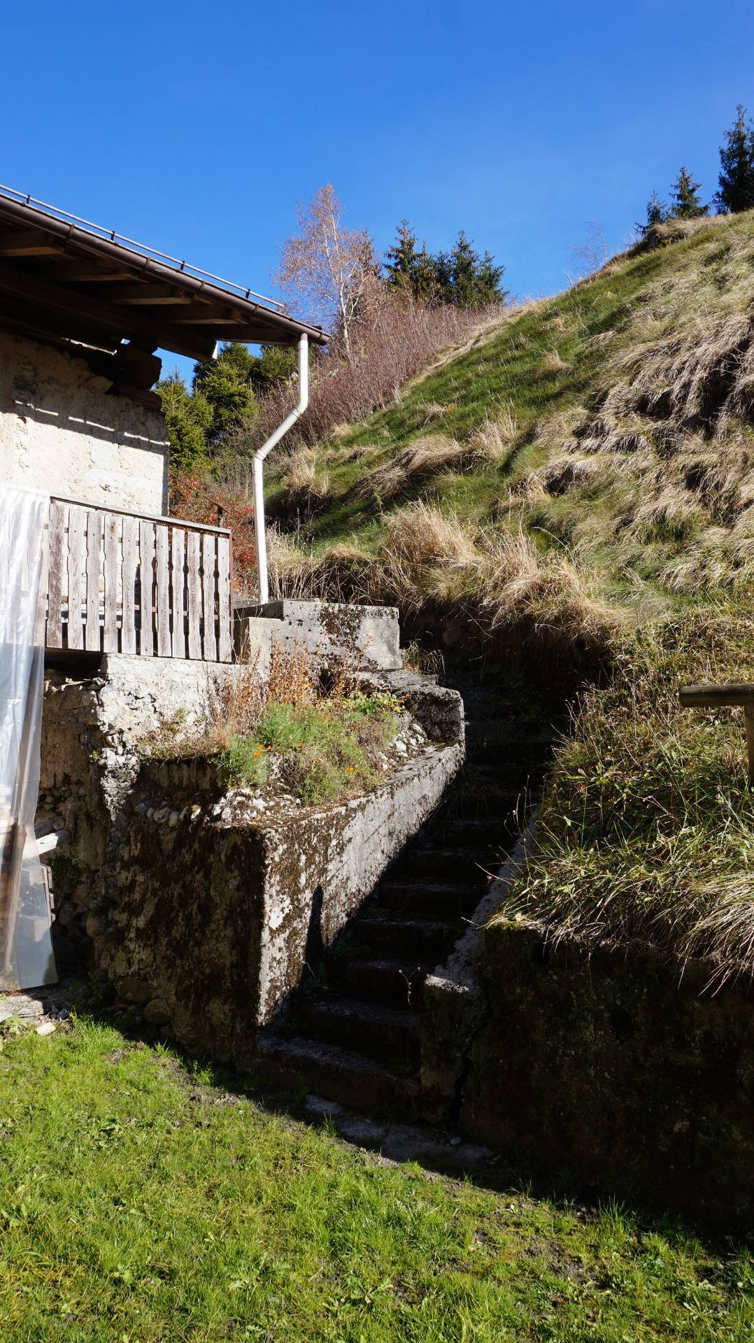 Casa Indipendente in vendita a Breguzzo