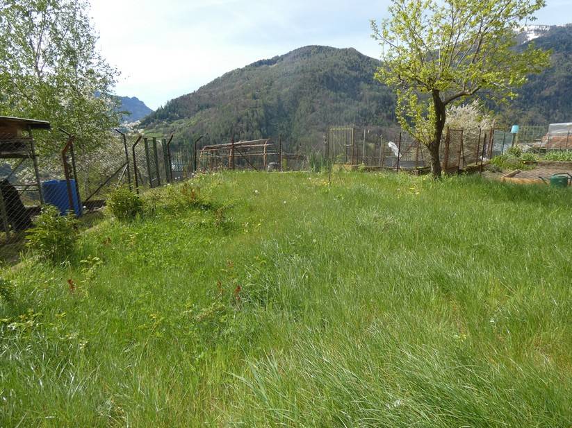 Casa Indipendente in vendita a Valdaone